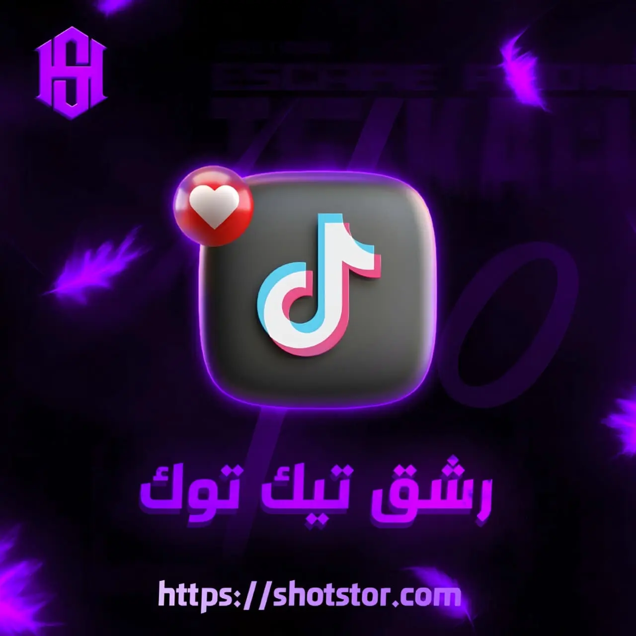 رشق تيك توك
